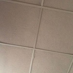 Meet your Posher, Joanna